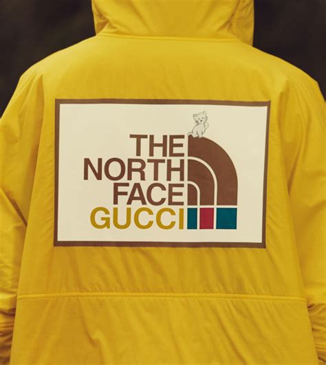 carhartt gucci|gucci north face 2024.